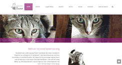 Desktop Screenshot of kattenopvangbastet.nl